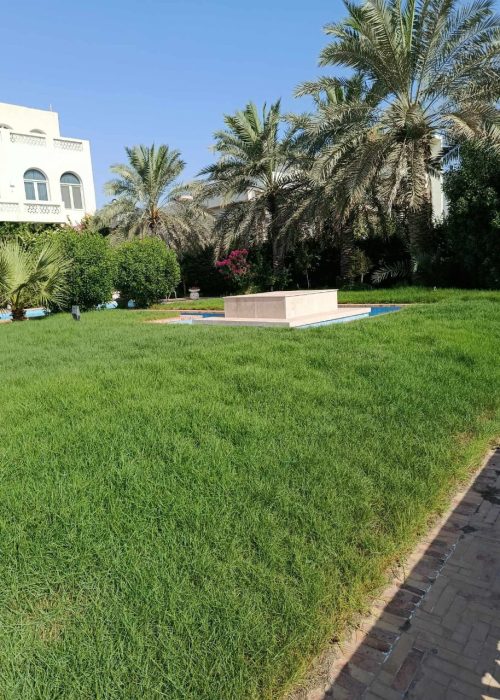 WhatsApp Image 2025-09-23 at 10.24.48 AM (3) تنسيق حدائق السالمية
